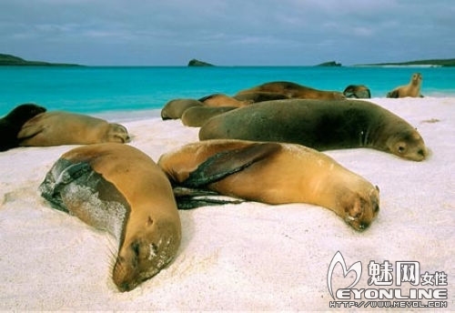 休息