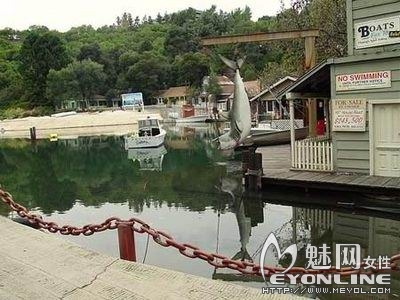 马萨诸塞州玛尔塔葡萄园岛