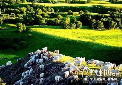 塞罕坝