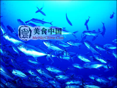 维生素D(骨化醇)