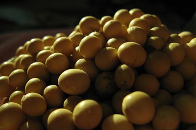 理想的乳房 教你如何保养